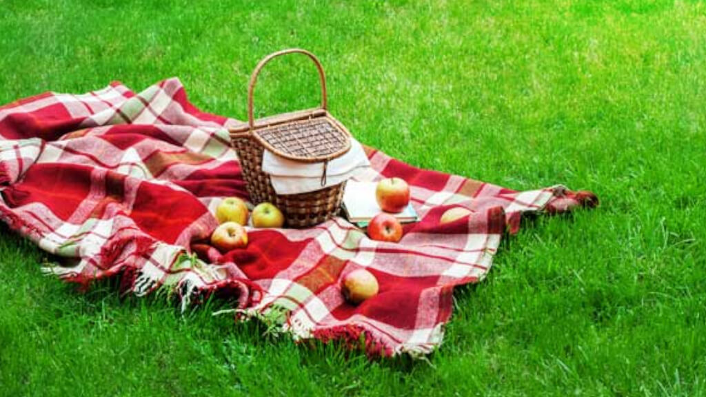 Pic-nic al Gottard Park